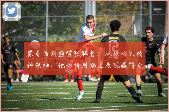 蒙哥马利盛赞张稀哲：从核心到精神领袖，他如何用场上表现赢得全队尊重？