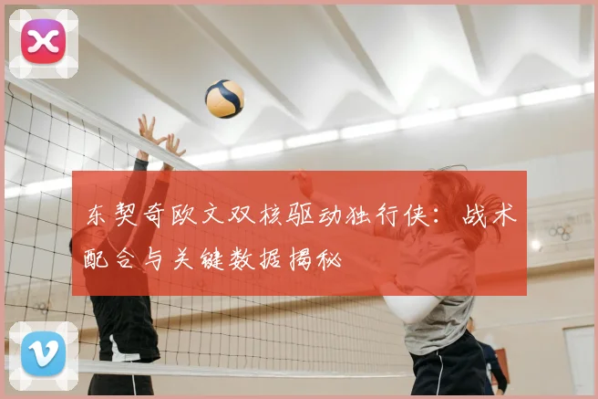 东契奇欧文双核驱动独行侠：战术配合与关键数据揭秘