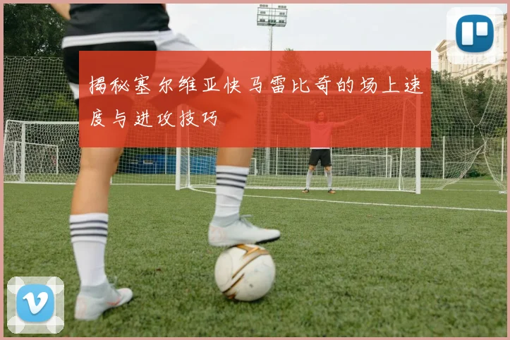 揭秘塞尔维亚快马雷比奇的场上速度与进攻技巧
