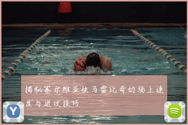 揭秘塞尔维亚快马雷比奇的场上速度与进攻技巧